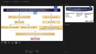 Efectos de los xenoestrógenos presentes en la alimentación y el medio ambiente sobre la salud de la mujer - dr Zita Csomai